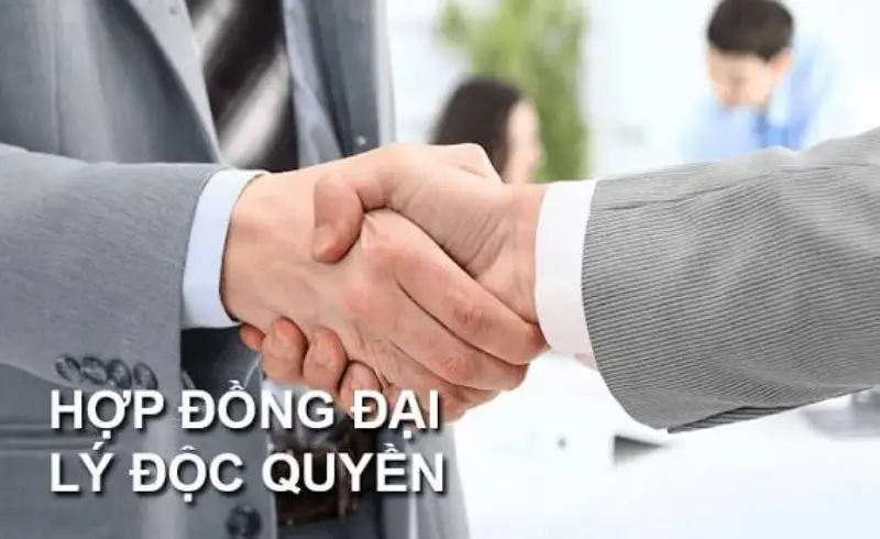 Đại lý có trách nhiệm cung cấp thông tin chính xác và bảo vệ dữ liệu khách hàng.