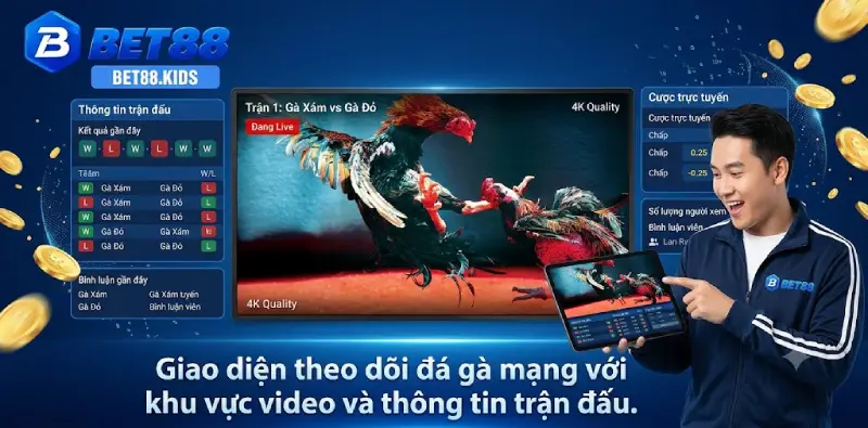 Giao diện theo dõi đá gà mạng với khu vực video và thông tin trận đấu.